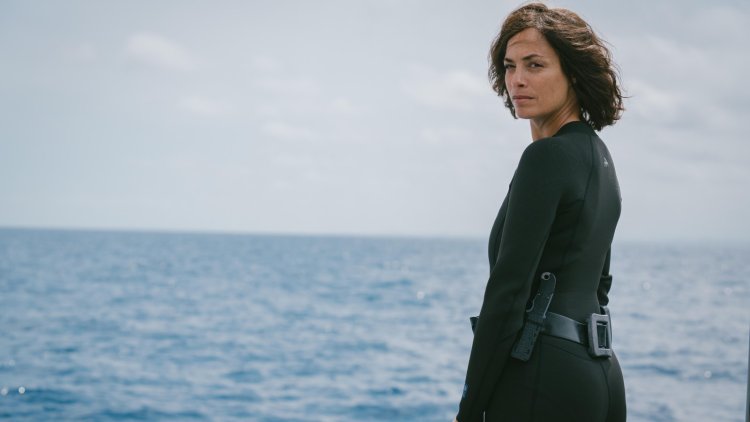 Netflix’s French Shark Movie Under Paris Is Getting A Sequel — And Bérénice Bejo Will Be Back